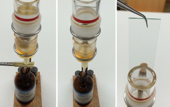 tem試料作製 グリッド支持膜作製法 of 超微形態科学分野