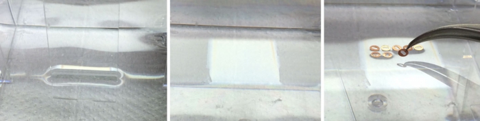 tem試料作製 グリッド支持膜作製法 of 超微形態科学分野