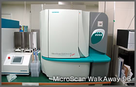 MicroScan WalkAway 96
