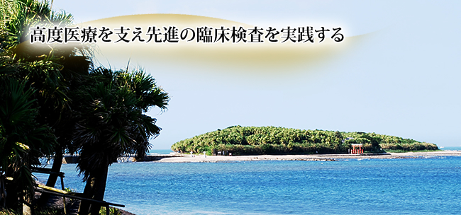 高度医療を支え先進の臨床検査を実践する