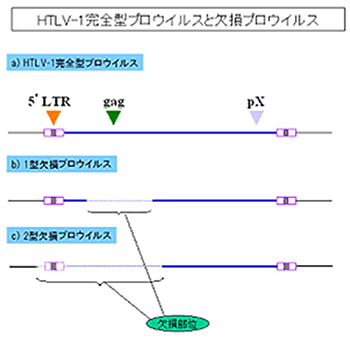 宮崎大学医学部 大学院看護学研究科
