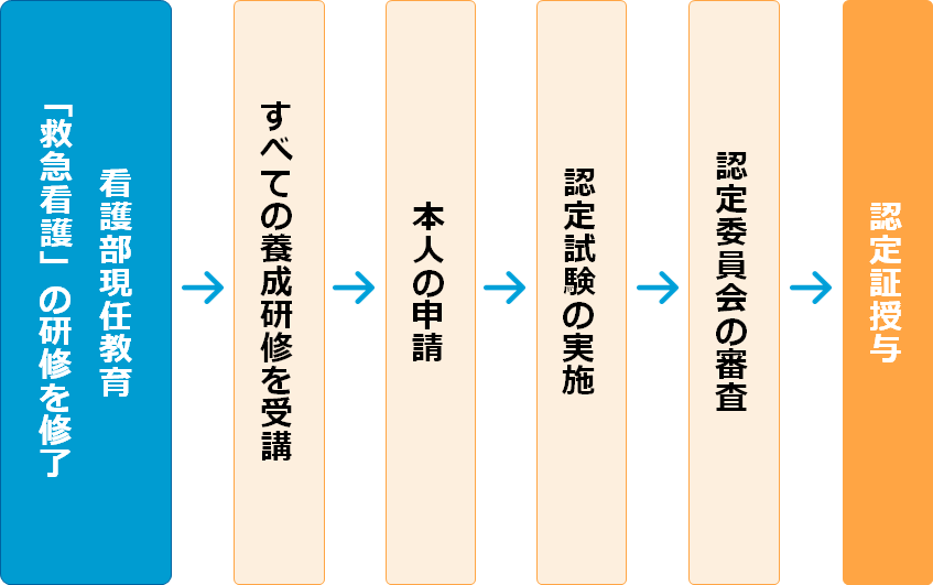 宮大健康スポーツナース認定までの流れ