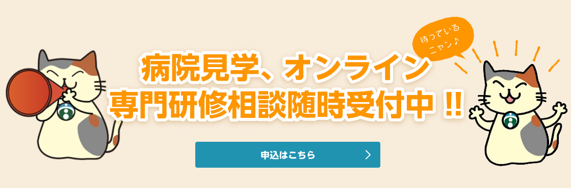 オンライン相談