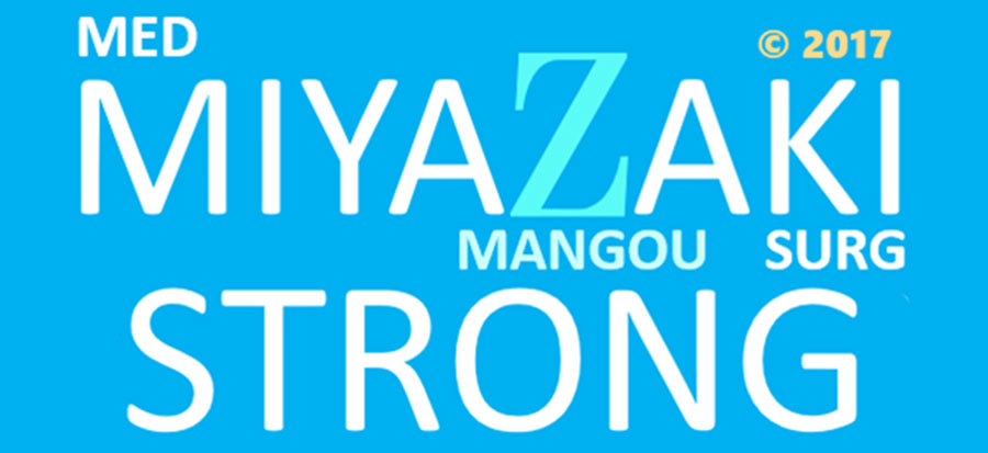 MIYAZAKI STRONGロゴ５