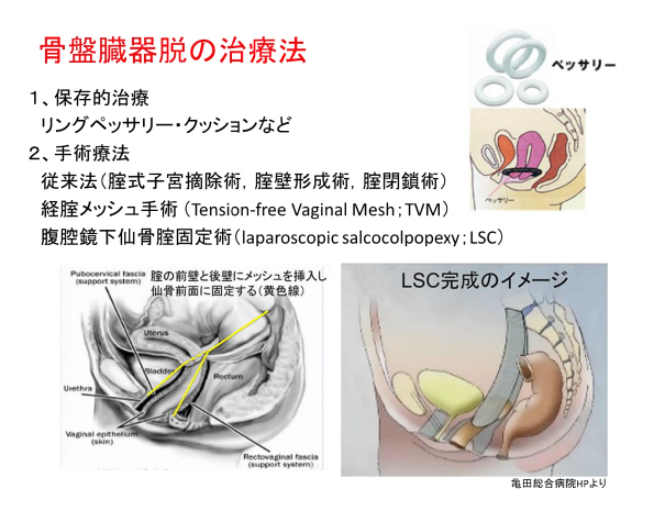 宮崎大学医学部 発達泌尿生殖医学講座 泌尿器科学分野