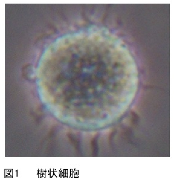 研究内容説明図01