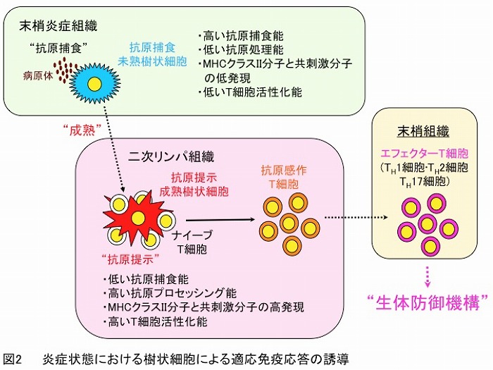 研究内容説明図02