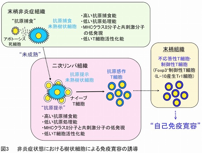 研究内容説明図03