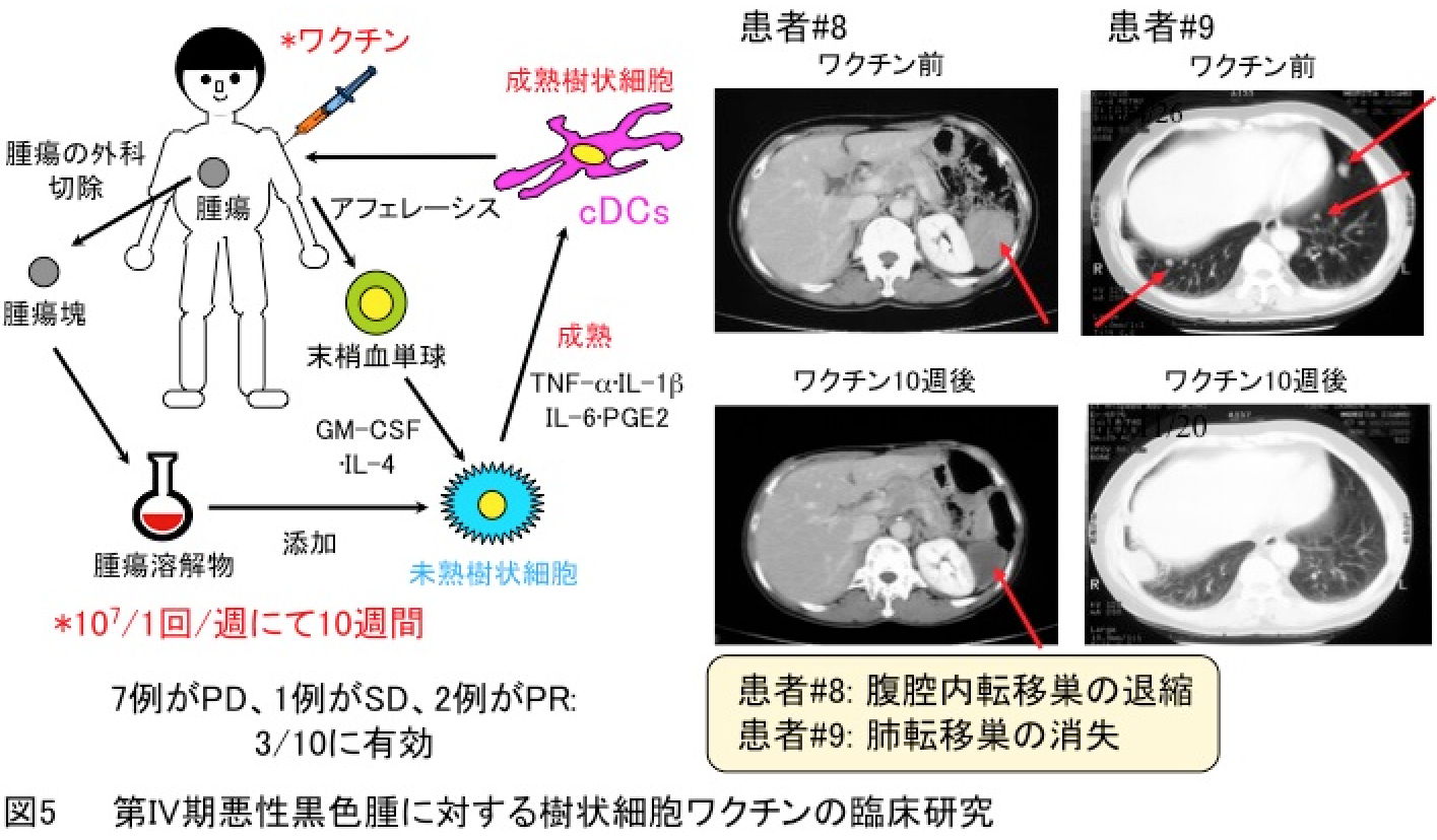 研究内容説明図05