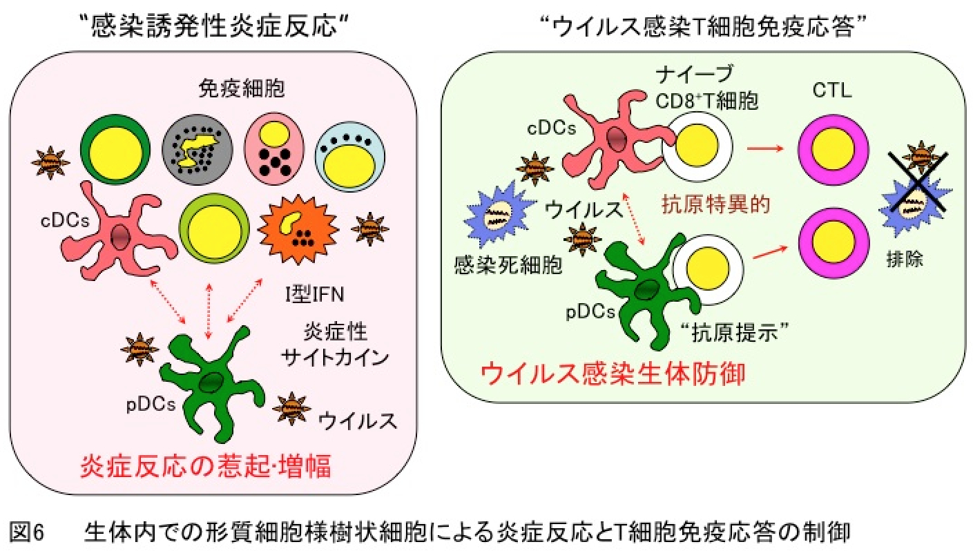 研究内容説明図06