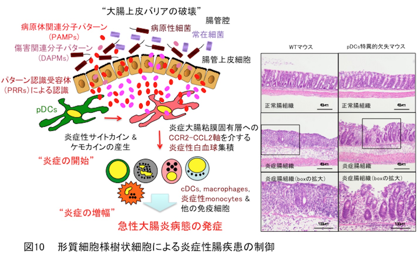 研究内容説明図07