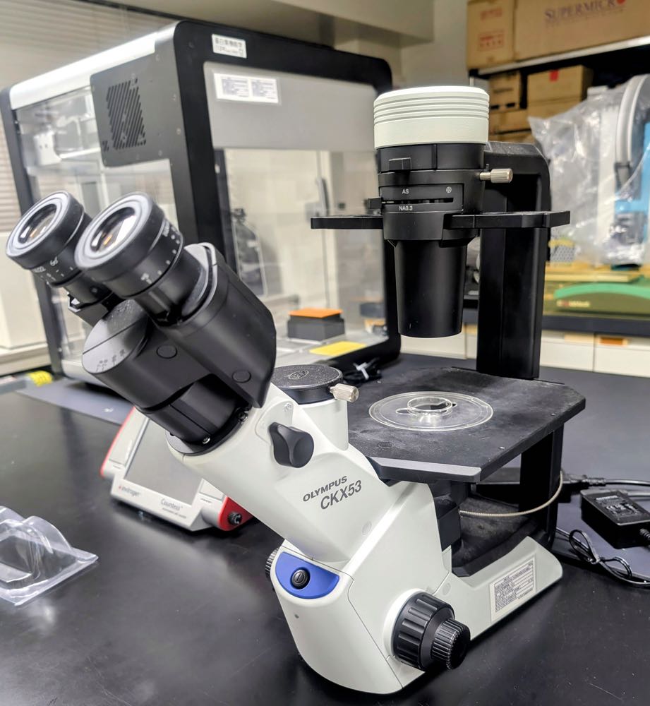 Olympus CKX53 Inverted Culture Microscope