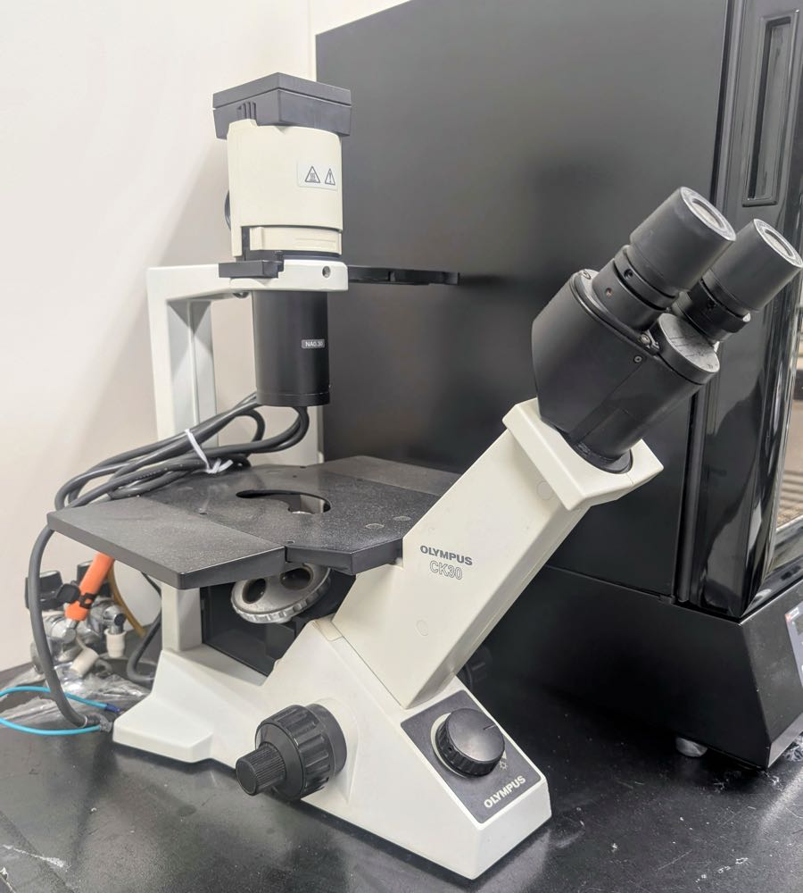 Olympus CK30 Inverted Culture Microscope