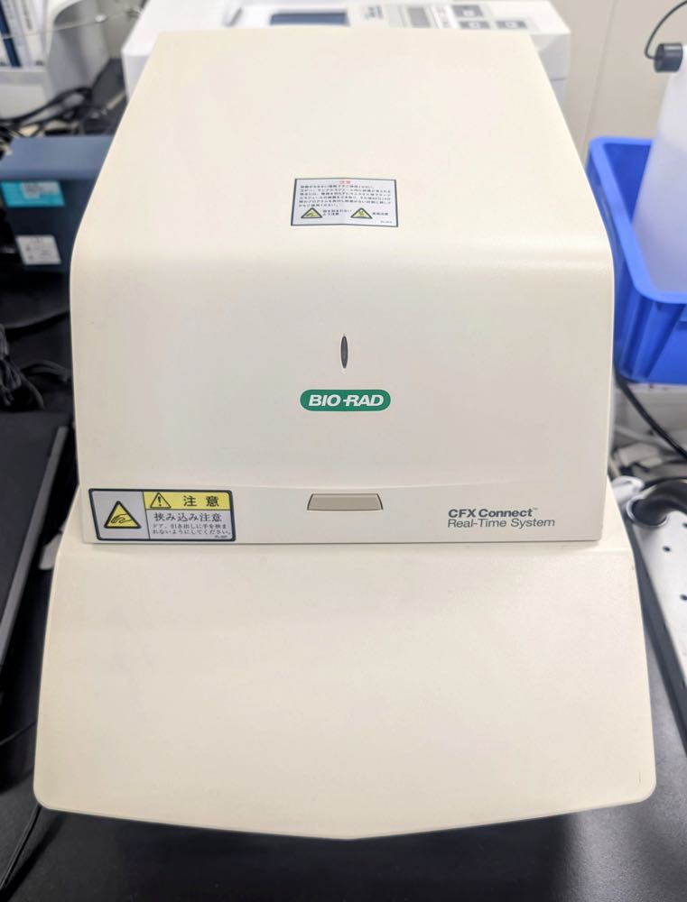 Real-Time PCR