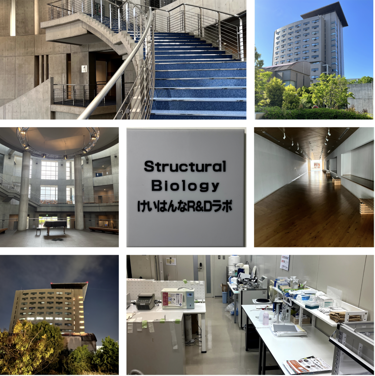 スクリーンショット 2026-02-12 14.59.17